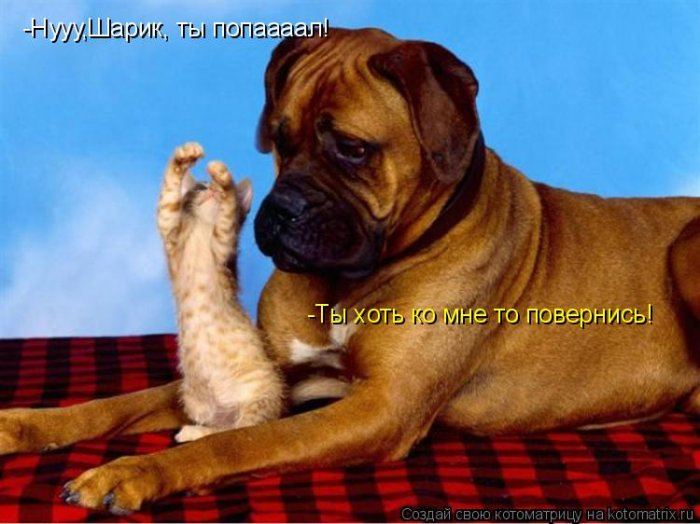 Мысли вслух :)