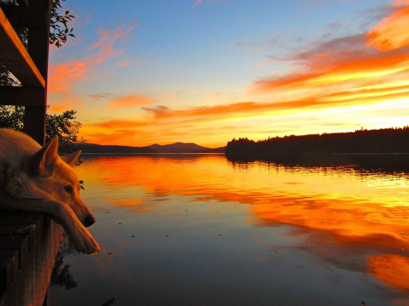 Когда фотографу повезло