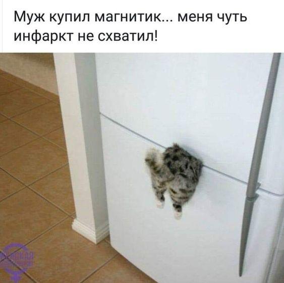 Юмористические открытки 