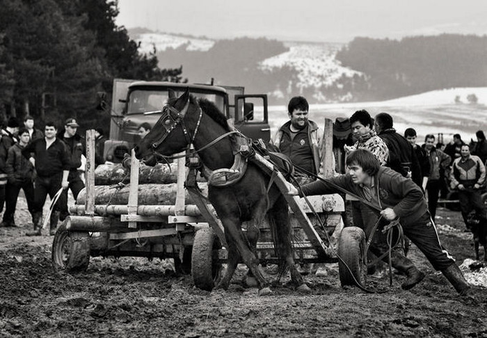 Чёрно-белые снимки с элегичными мотивами 