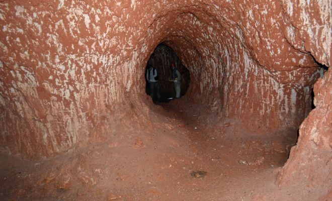 Спелеологи исследовали странные пещеры, когда поняли, что ходы выкопаны огромным живым существом 10 тысяч лет назад