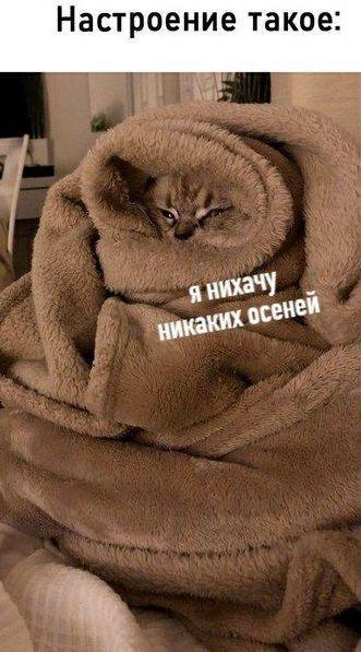 Ржачные до слез свежие картинки с надписями 