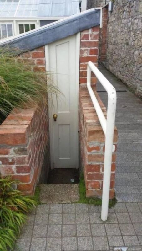 Фотоподборка четверга 