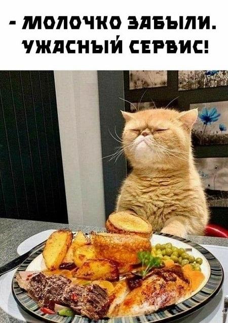 Юмористические открытки 