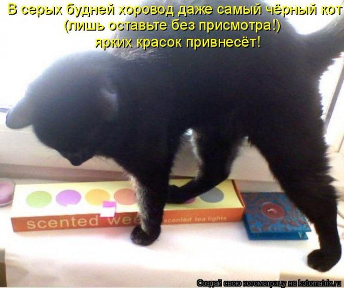 Мысли вслух :)