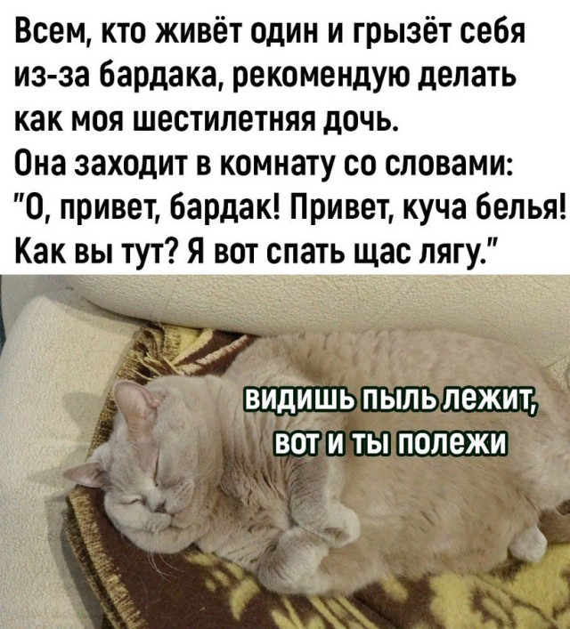 Смешные и забавные котоМЕМЫ  
