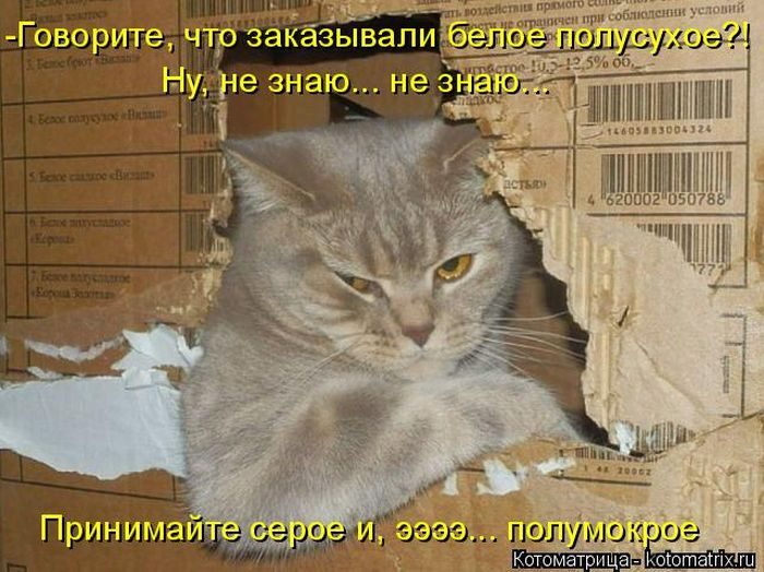 Лучшие котоматрицы за прошедшую неделю