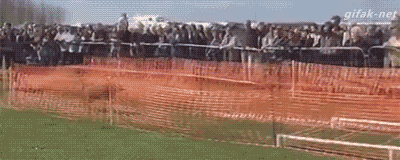 Гифки из нашей жизни: неудачные моменты и позитивные ситуации Гифки из нашей жизни: неудачные моменты и позитивные ситуации