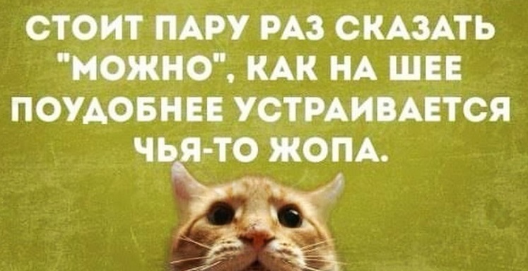 Личные данные в сети какие-то жидкие. Постоянно утекают  Залог, крепкой, онлайндружбы, регулярное, облайкивание, Конькобежец, Анголы, принёс, своей, сборной, медали, никто, знает , Продолжим , чуть , позже