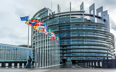 Выборы в Европарламент