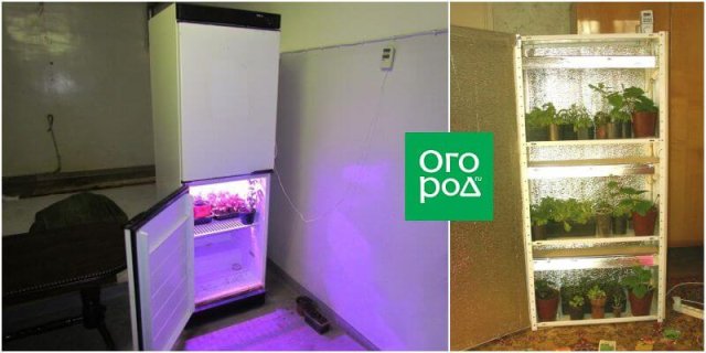 Что можно сделать из старого холодильника: 15 лучших идей для дома и дачи,новая жизнь старых вещей