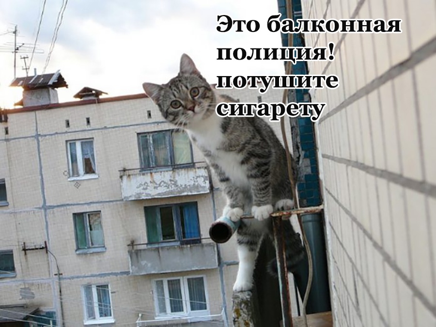 Я перестал смотреть телевизор 5 лет назад, когда пульт от него упал за диван. Оттуда еще никто не возвращался 