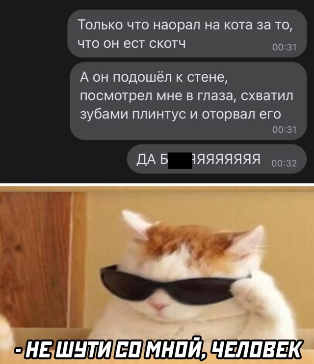 Подборка прикольных картинок Подборка прикольных картинок смешные картинки,фото-приколы,юмор