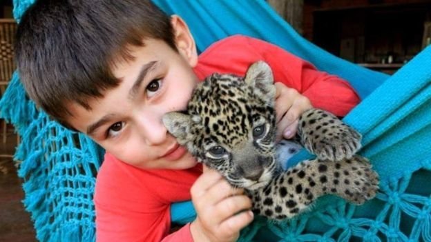 Тьяго Силвейра: история мальчика, который живет с ягуарами тьяго силвейра