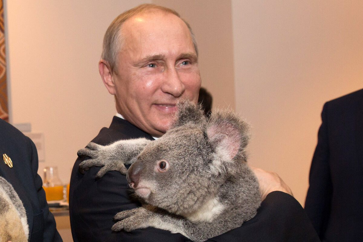 В Австралии популярный у знаменитостей заповедник запретил обниматься с коалами