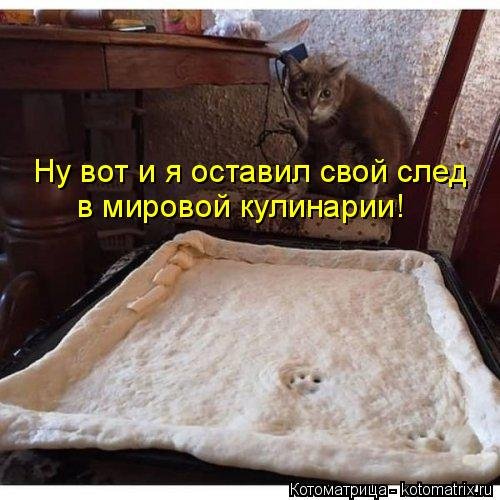 Весёлая котоматрица  смешные картинки