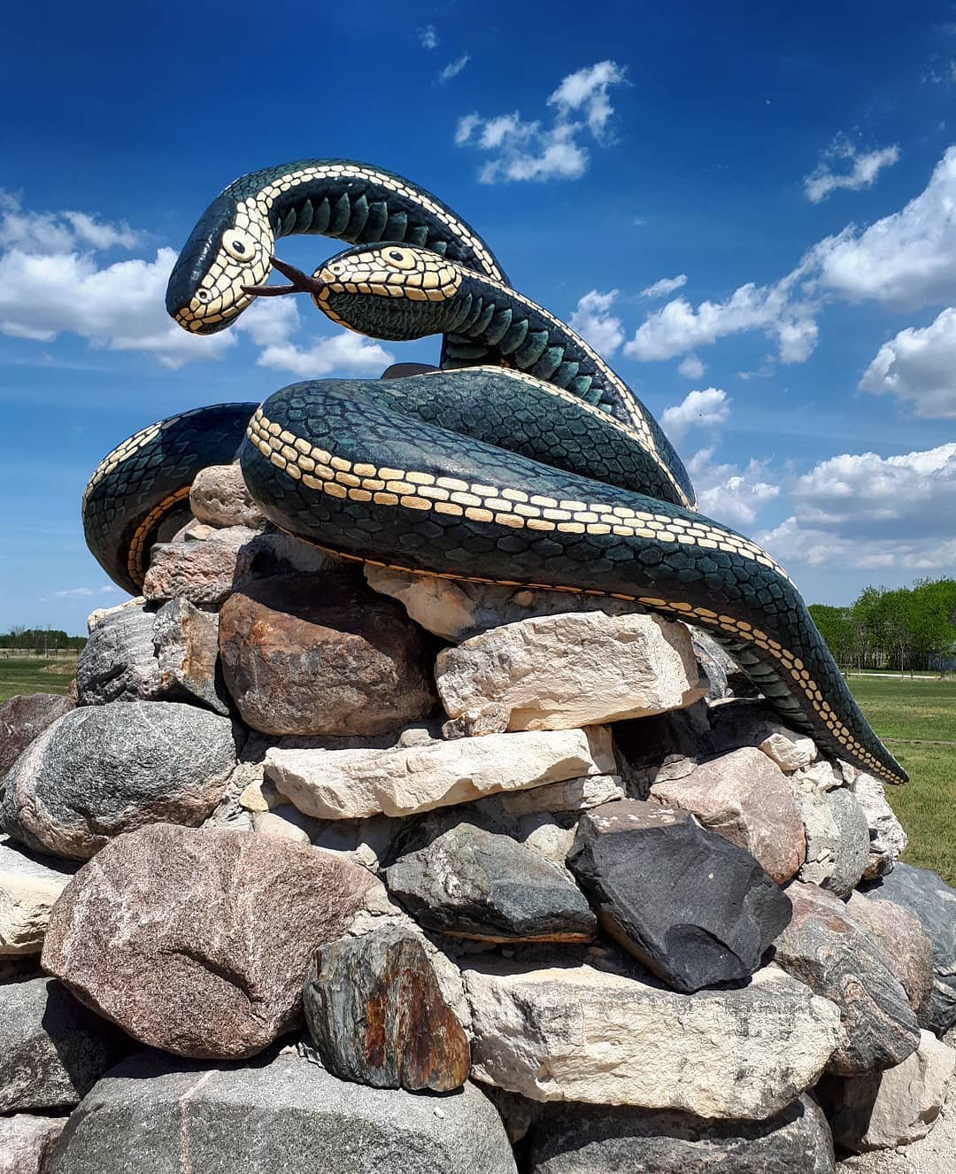 Тысячи змей в одном месте: острые ощущения для туристов заграница,туризм