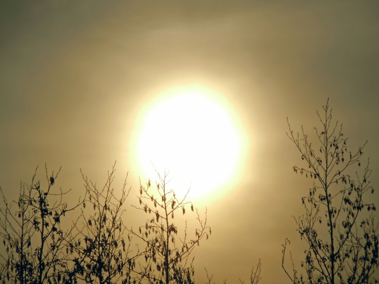 Жара и дымка! Солнце Краснодара закрыла африканская пыль: но в этом есть плюс