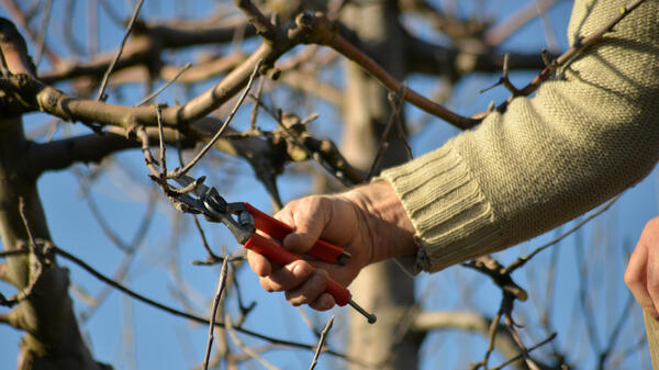 Что надо обязательно сделать на даче перед закрытием сезона — успейте, пока тепло - похожая новость на Toplenta