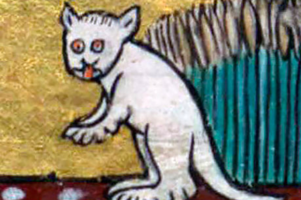 На всех картинах Средних веков кошки нарисованы страшными: историки назвали причину Культура