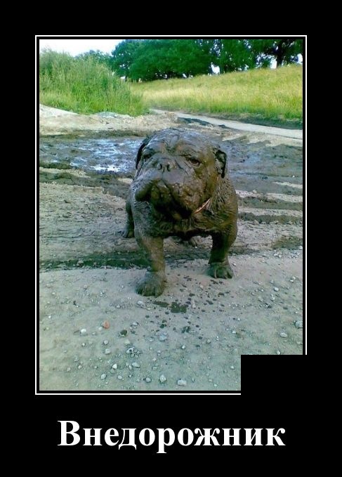 В городок приехал богатый турист.. В городок приехал богатый турист.. анекдоты,веселье,демотиваторы,приколы,смех,юмор