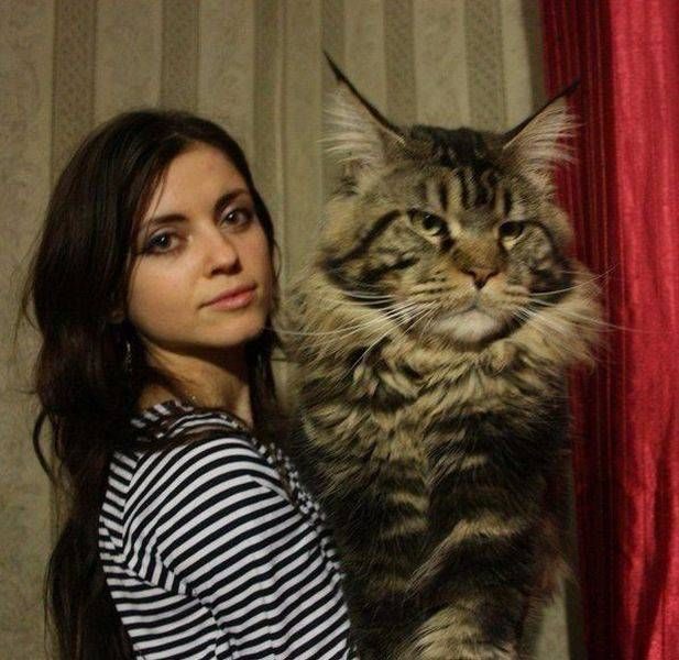 Угарные хохотушки для позитивного настроя