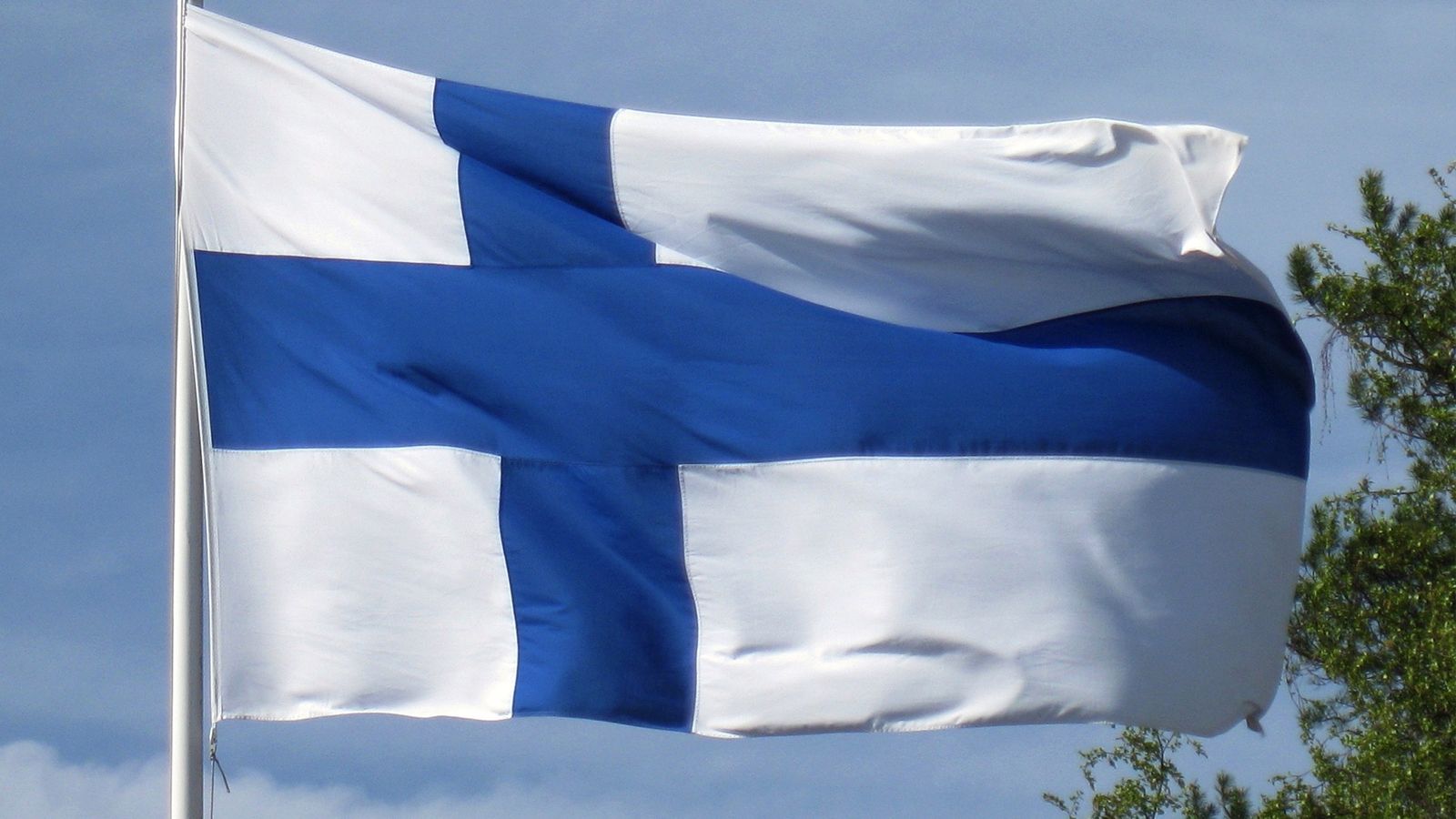 Глава МИД Финляндии Хаависто указал на предпосылки распада ОБСЕ в следующем году