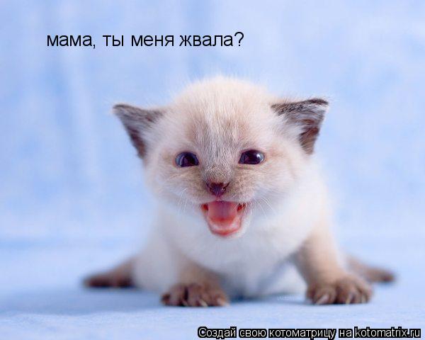 Мама, ты меня звала?!