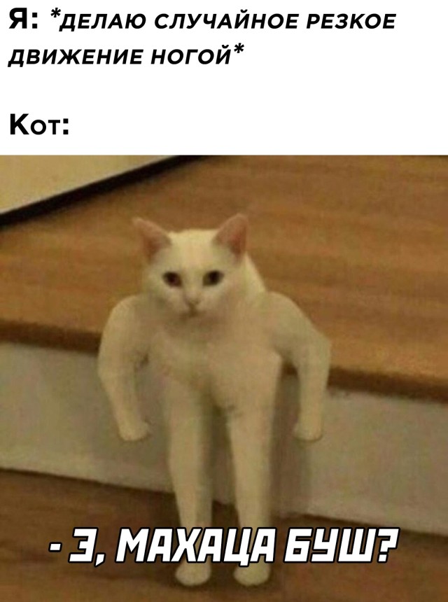 Подборка прикольных картинок. Вечерний выпуск Подборка прикольных картинок. Вечерний выпуск смешные картинки,фото-приколы,юмор