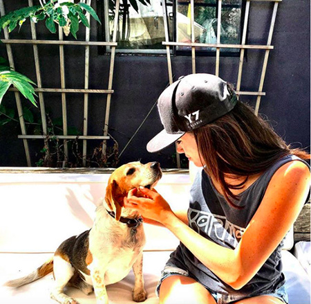 Принц Гарри взял с собой в официальный тур их с Меган Маркл собаку Монархи / Британские монархи