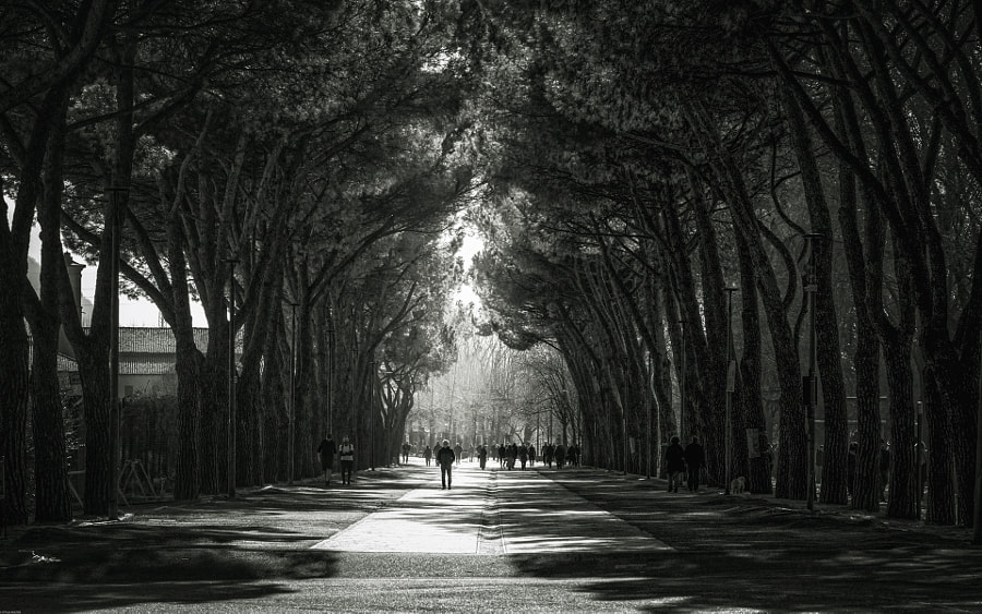 untitled by Attilio Molteni on 500px.com