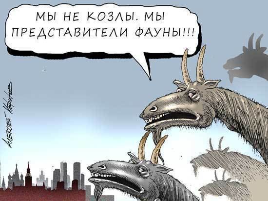 Реализация закона «о неуважении к власти» потребует строительства новых тюрем Реализация закона «о неуважении к власти» потребует строительства новых тюрем