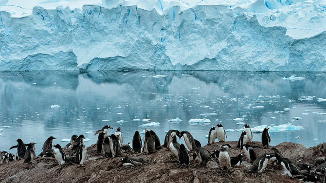 Невероятная Антарктика от Кайла Анстея 