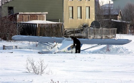 Занимательная Аляска Занимательная Аляска