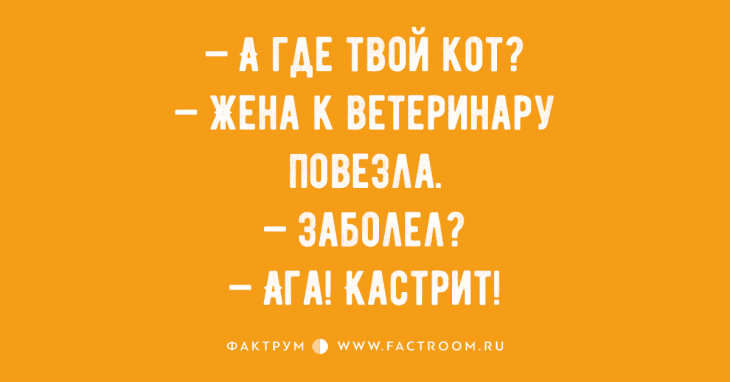 Забавные анекдоты обо всём на свете, которые вызовут у вас неконтролируемый смех