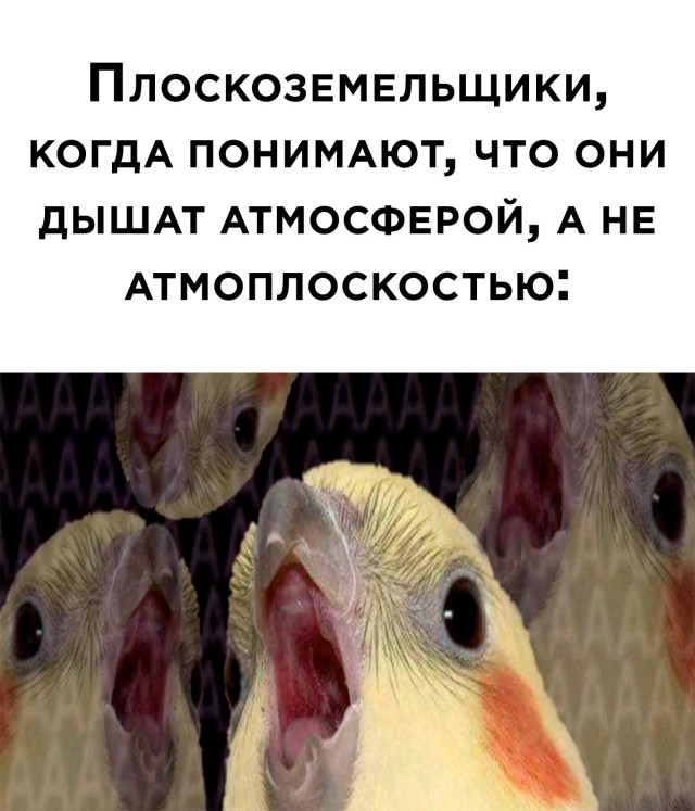 Подборка прикольных картинок  приколы,смешные картинки,юмор