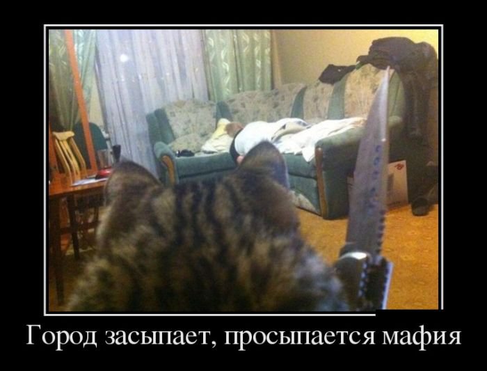 Демотиваторы черноватенькие 