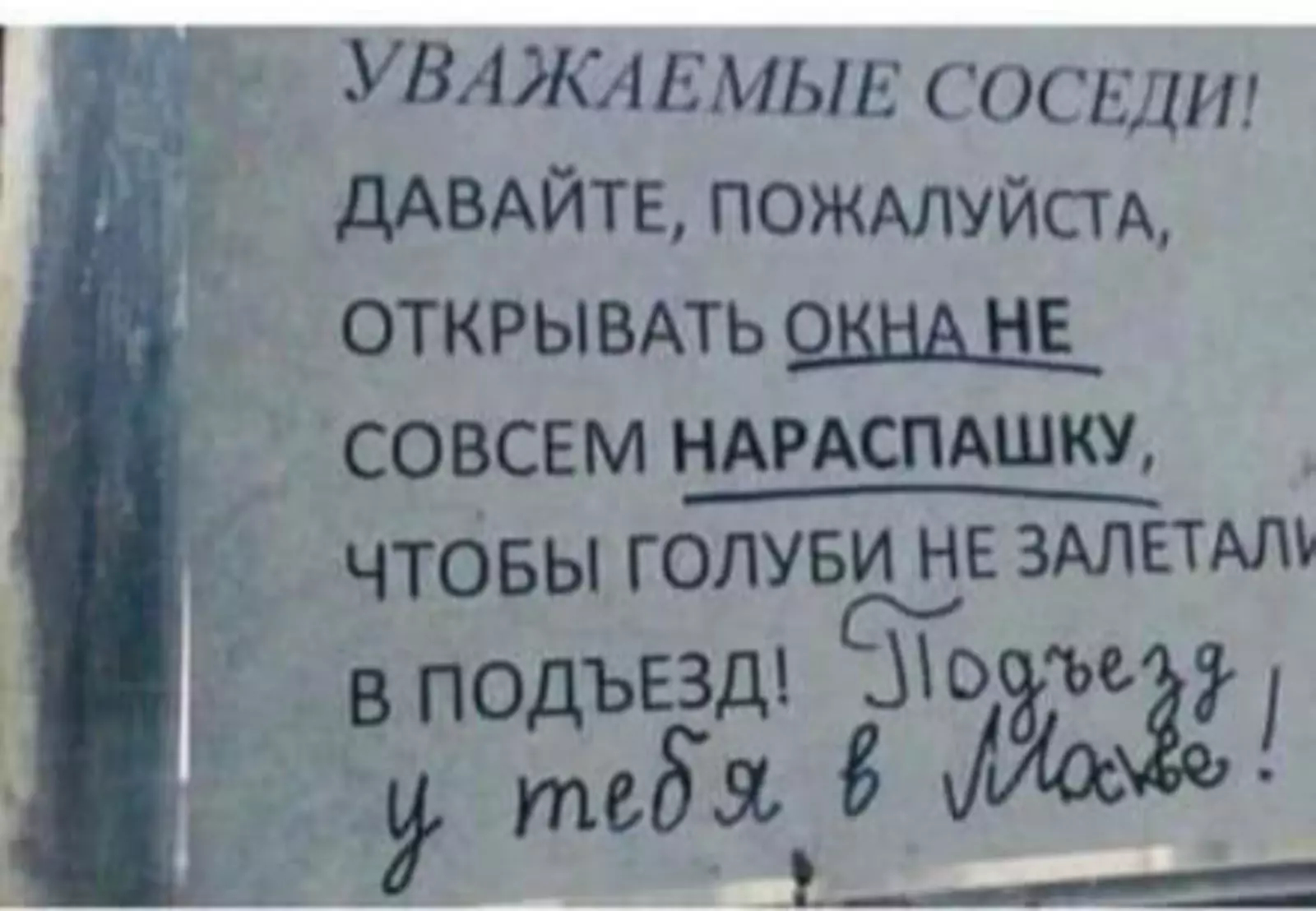 10+ шуток, которые вызовут приступ хохота у жителей Северной столицы позитив,смех,улыбки,хохмы,юмор