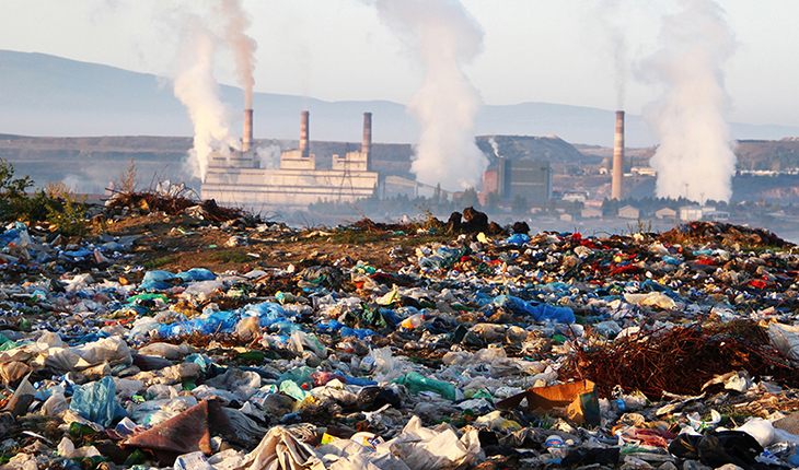13 фотографий, после которых вы перестанете использовать пластик животные,мусор,пластик,природа,экология