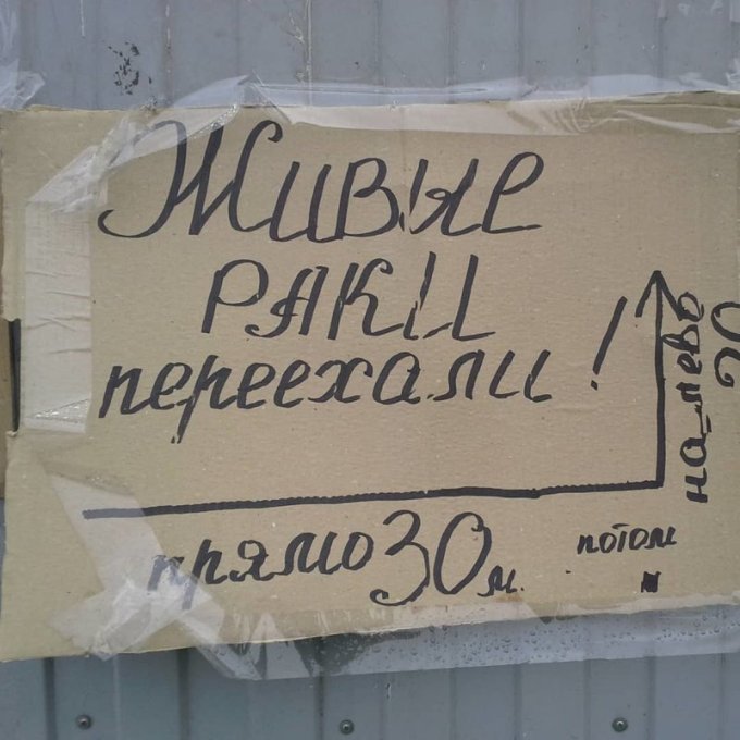 На что только не идут девушки, которые очень хотят замуж На что только не идут девушки, которые очень хотят замуж