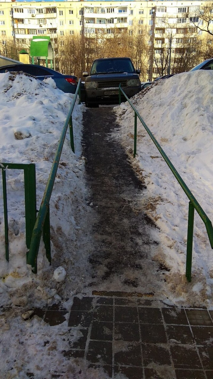 Вот хозяева двора, в голове у них дрова Вот хозяева двора, в голове у них дрова