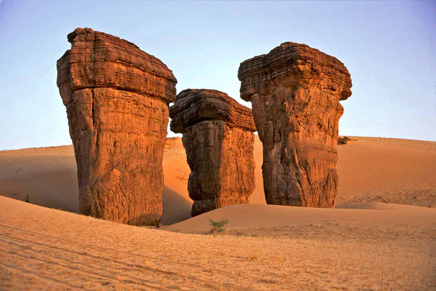 Плато Эннеди Эннеди, плато, Сахары, можно, собой, представляют, метров, гельта, который, Некоторые, необычных, находится, время, площадь, данная, место, высотой, добраться, формации, уровня