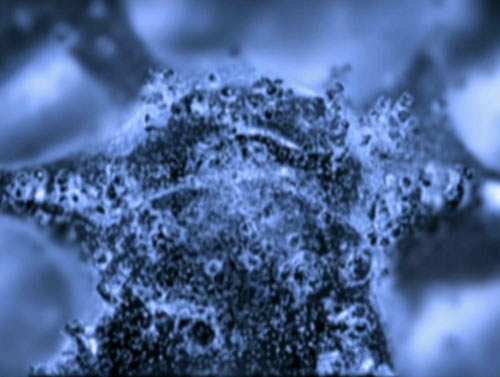 Вода взятая из под крана перед прочтение над ней молитвы