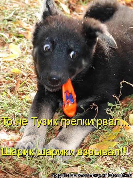 Мысли вслух :)