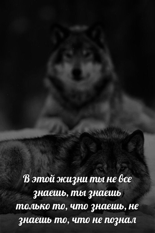 Простой юмор и шутки с просторов сети Простой юмор и шутки с просторов сети смешные картинки