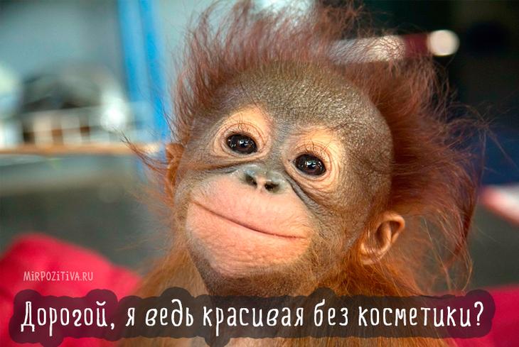 Подборка смешных картинок для хорошего настроения Подборка смешных картинок для хорошего настроения