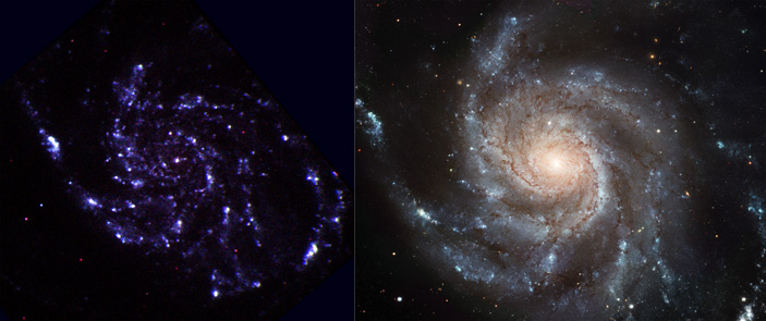 Рис. 3. Изображения спиральной галактики «Вертушка» в ультрафиолете и в оптическом диапазоне