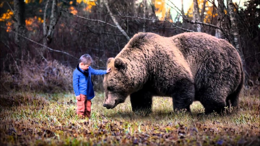 Малыш заблудился в зимнем лесу: на помощь пришел медведь и вывел его к людям