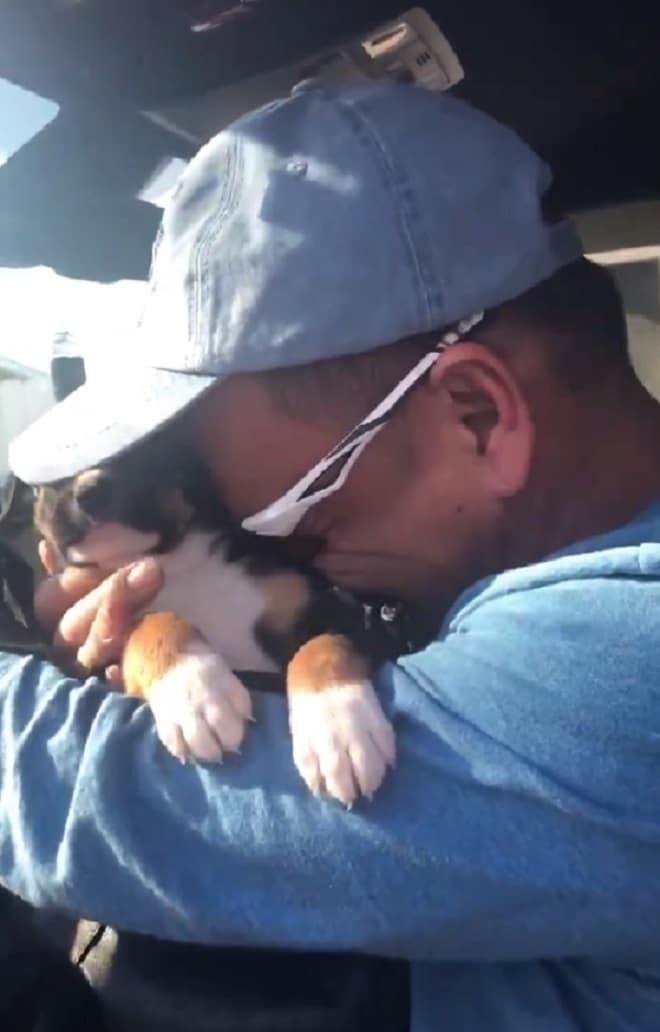 Подарив отцу щенка, девушка не ожидала увидеть папины слезы истории из жизни