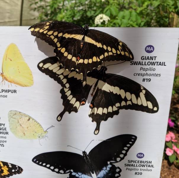 Подборка интересных фото со всего мира Подборка интересных фото со всего мира курьезы,природа,фотографии